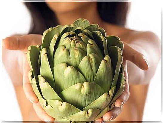 Woman holding artichoke