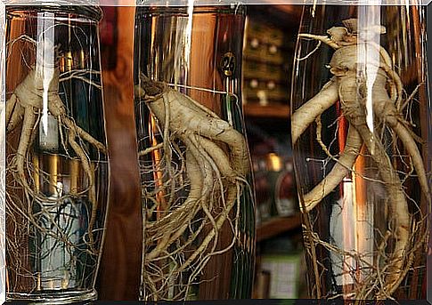 Ginseng root in glass