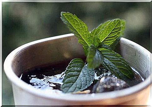 Mint leaves in tea