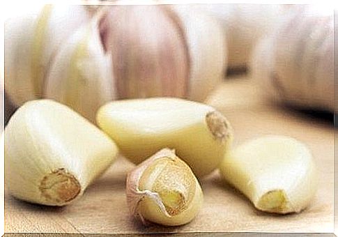 Garlic