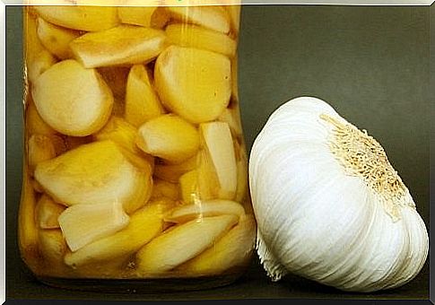 Garlic on glass