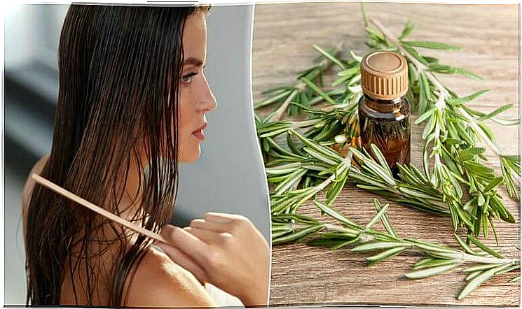 5 interesting benefits of rosemary for your hair