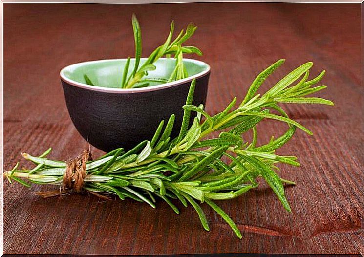 Fresh rosemary