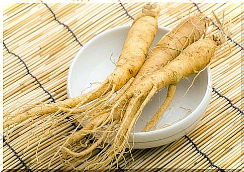 Ginseng