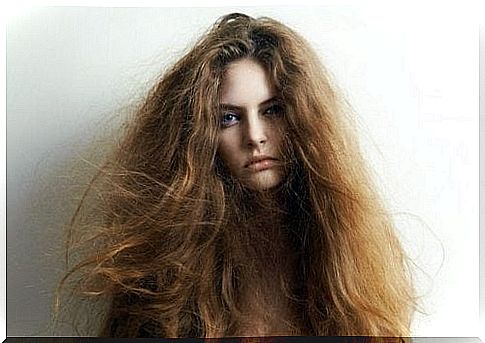 5 natural ingredients for treating dry hair