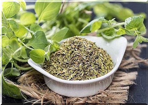 Oregano reduces the growth of bacteria