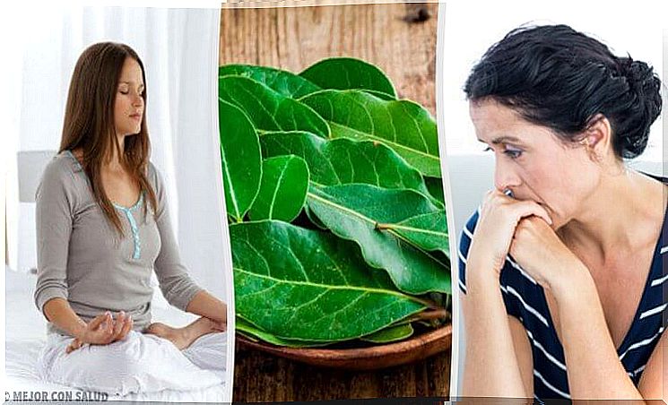 7 things bay leaves are good for