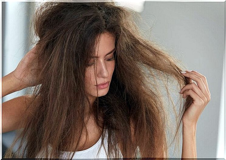 Add moisture to your hair with these 5 natural treatments