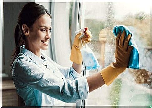 Woman cleans windows