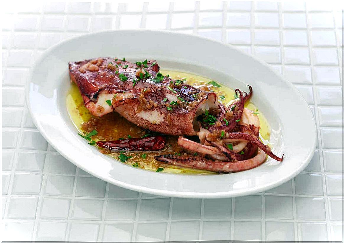 Boiled squid on a plate with herbs and olive oil