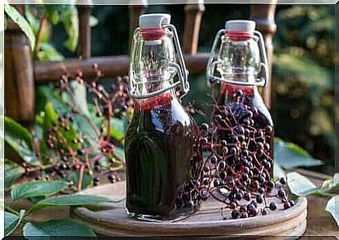 Elderberry Syrup: Benefits, Reservations and Preparation