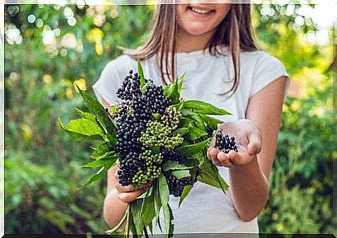 Girl with elderberry