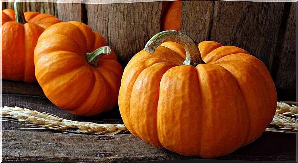 Pumpkin is well known in the world of gastronomy