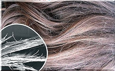 Find out how to repair burnt hair