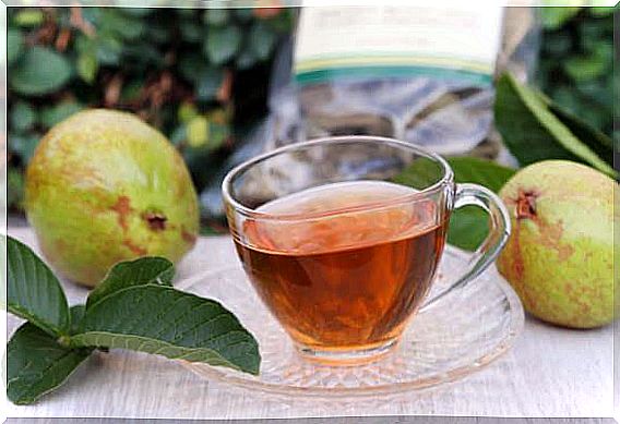 Tea brewed on guava leaves