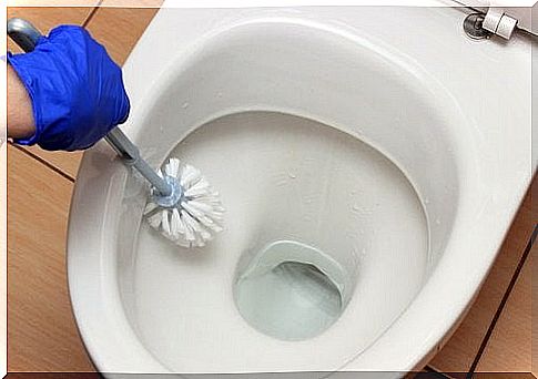 Person is cleaning toilet with baking soda