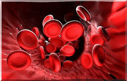 Blood cells