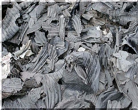 Wood ash is also excellent as a fertilizer for plants