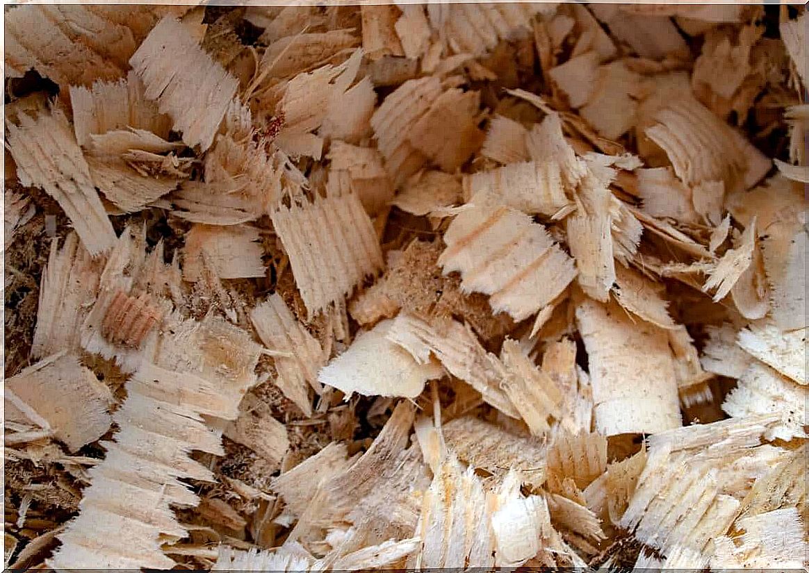 A pile of sawdust