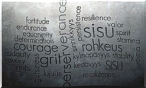 Text about Sisu