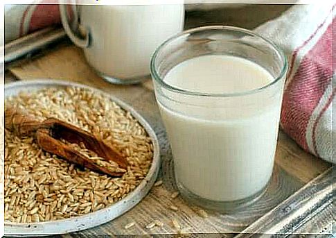 Vegetable milk: Features and benefits