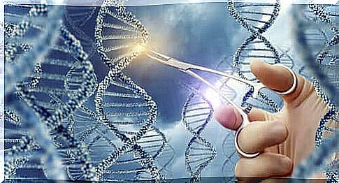 What are gene mutations and what do they mean?