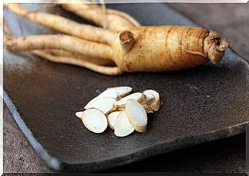 What is ginseng, how is it used and why?