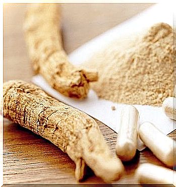 Ginseng rod