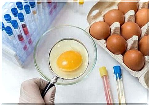 Eggs are examined to check for salmonella in the summer